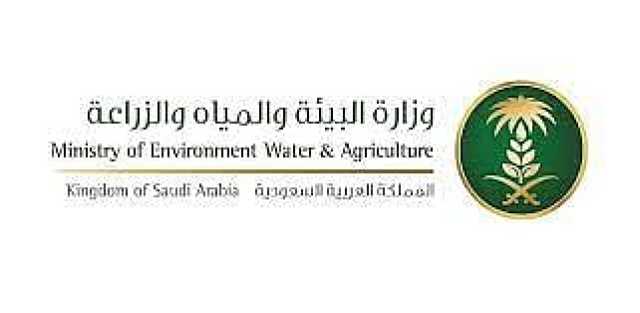 «البيئة»: إعلان الأمم المتحدة استضافة المملكة لفعاليات اليوم العالمي يؤكد دورها محلياً ودولياً