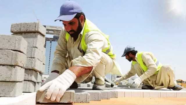 'الموارد البشرية': 95 % نسبة امتثال المنشآت بتطبيق قرار حظر العمل تحت أشعة الشمس هذا العام