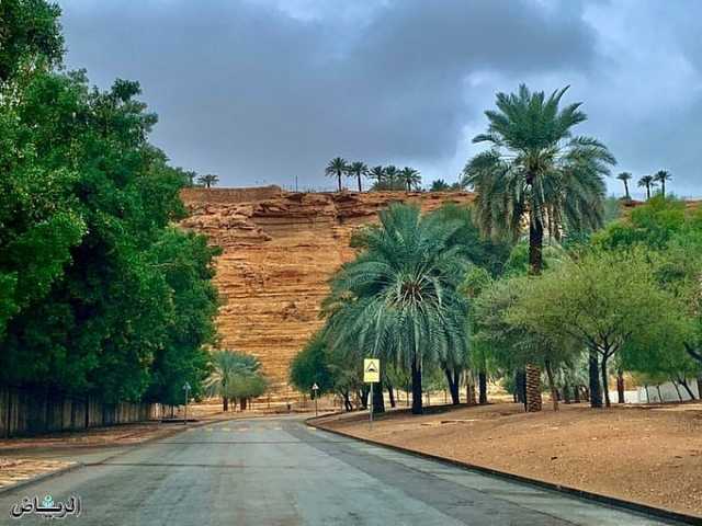 الحصيني: اليوم.. آخر أيام الصيف «حسابيا»