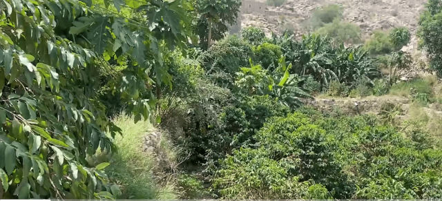 جبال قيس.. وجهة سياحية ترسمها الشلالات المتدفقة والغابات المخضرة