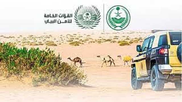 ضبط 19 مخالفًا لنظام البيئة لارتكابهم مخالفة الصيد دون ترخيص