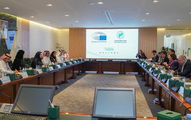 رئيس هيئة حقوق الإنسان تلتقي وفد بعثة من البرلمان الأوروبي