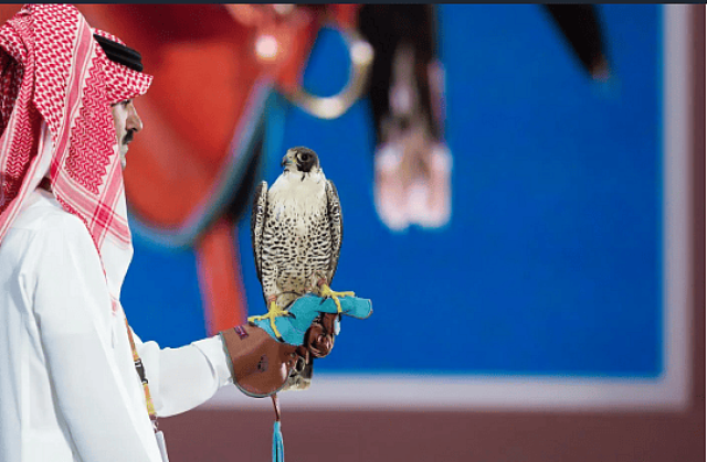'شاهين قرناس' أغلى صقر في النسخة الرابعة لمزاد نادي الصقور السعودي