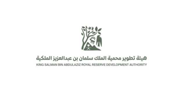 محمية الملك سلمان الملكية: انتهاء المهلة المحددة لإخراج الإبل السائبة
