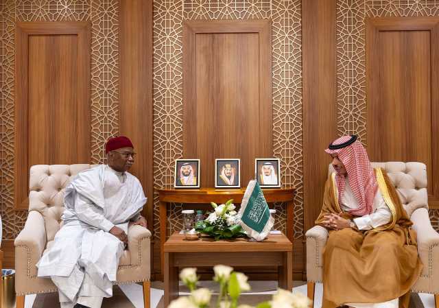 وزير الخارجية يبحث مع أمين عام منظمة التعاون الإسلامي تطورات الأوضاع في غزة