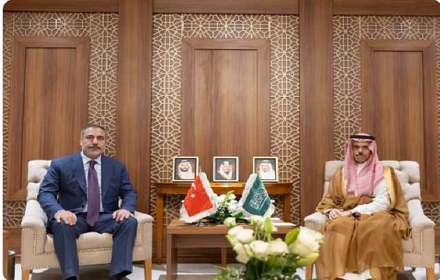وزير الخارجية يبحث مستجدات الأوضاع في غزة مع نظيره التركي