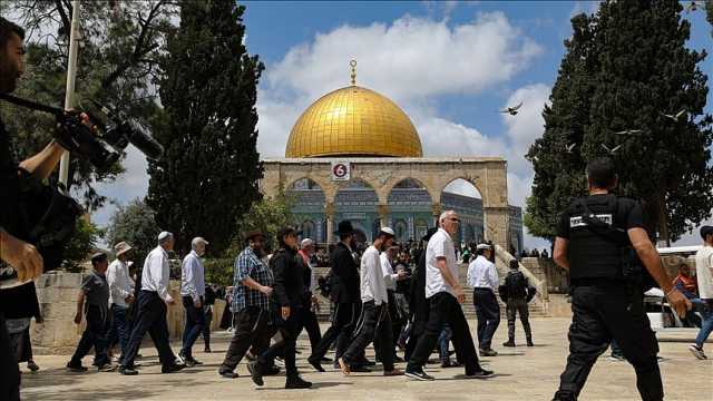 من باب «المغاربة».. مستوطنون إسرائيليون يقتحمون «الأقصى» تحت حماية شرطة الاحتلال