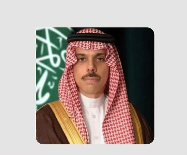 وزير الخارجية يبحث مع نظيره النرويجي التطورات العسكرية في غزة ومحيطها