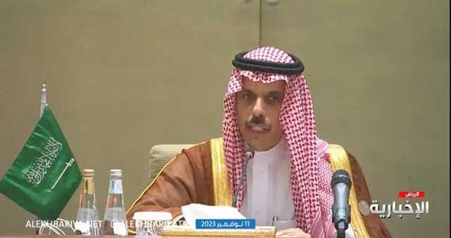 وزير الخارجية: دولتان من G20 تدعمان الموقف العربي والإسلامي بشأن غزة (فيديو)