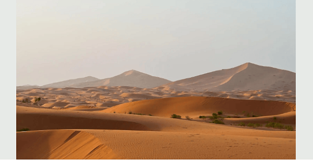 منع أنشطة الصيد والتخييم وإشعال النار.. محمية «عبدالعزيز الملكية» تُعلن الاشتراطات البيئية في المحمية