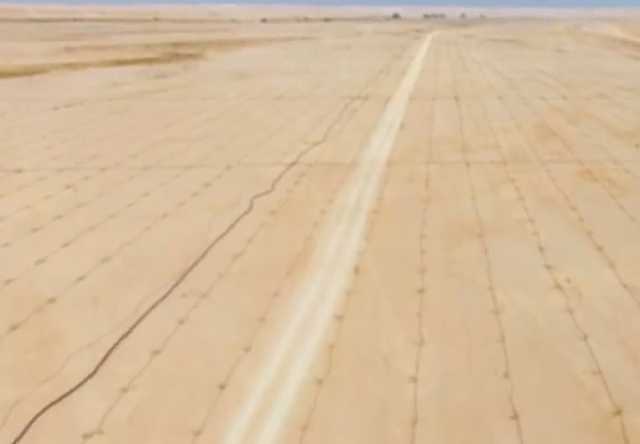 مسؤول بـ«الغطاء النباتي»: مشروع «مسيج العويصي» سينتج 4 ملايين طن من البذور