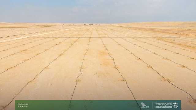 زراعة 180 ألف شجرة في مسيج العويصي بالحدود الشمالية