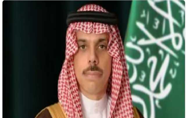 وزير الخارجية: نريد وقفا فوريا لإطلاق النار في غزة.. وحل الدولتين مهم لأمن المنطقة