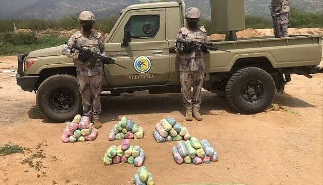 إحباط تهريب 240 كيلوجرامًا من القات المخدر في جازان 