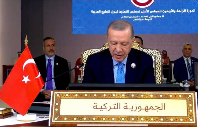 أردوغان: التبادل التجاري بين دول مجلس التعاون وتركيا زاد 13 ضعفًا بالعقدين الأخيرين
