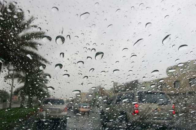 طقس الخميس.. أمطار رعدية ورياح نشطة مثيرة للأتربة على عدة مناطق