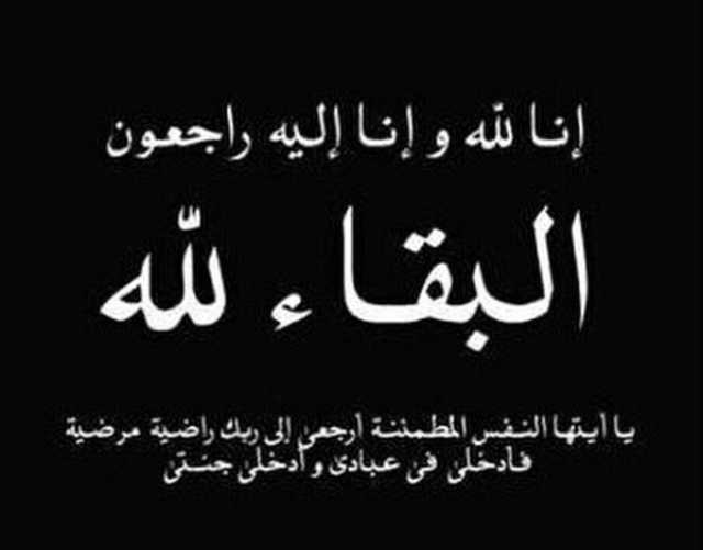 الجاوي يعزي الشيخ الحنق باستشهاد نجله إثر غارة أمريكية على محافظة مأرب 