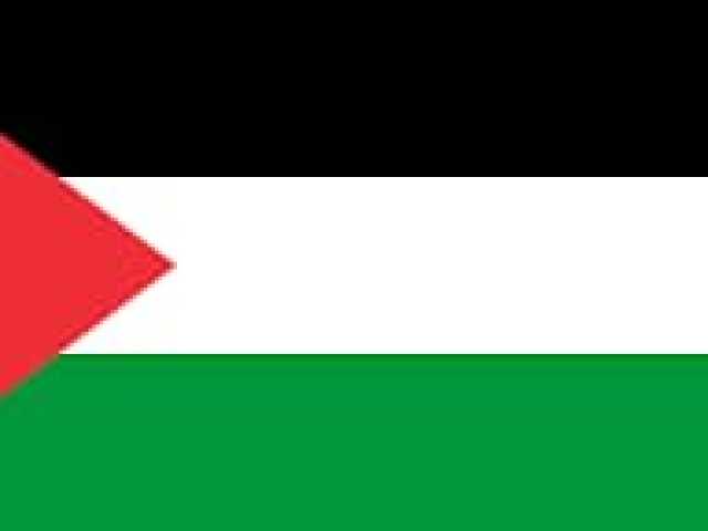 الأحد القادم.. مسيرة تضامنية مع فلسطين بالعاصمة زنجبار