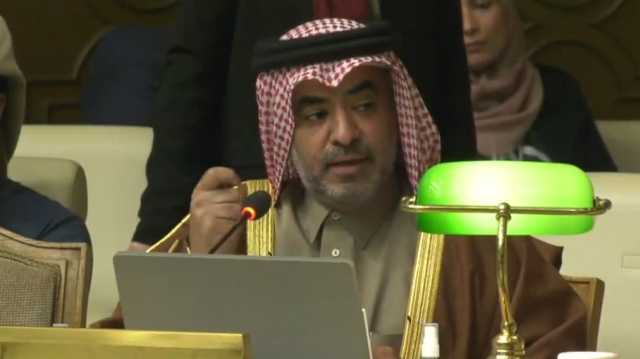 نائب قطري بالجامعة العربية: طوفان الأقصى بداية لنهاية دولة الاحتلال (فيديو)‏