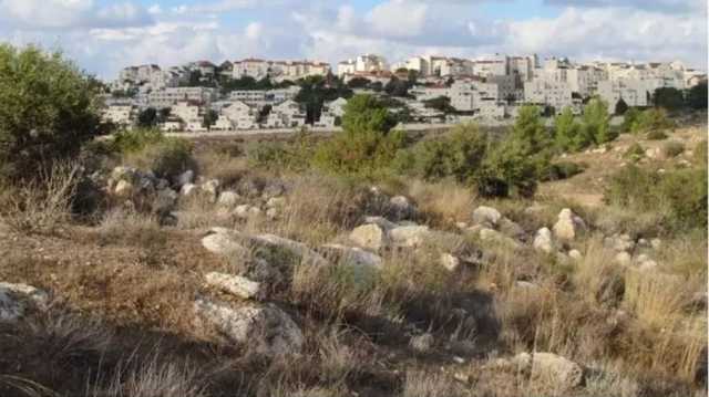 بيت نَتّيف قرية كنعانية مهجرة تغفو على جبال الخليل