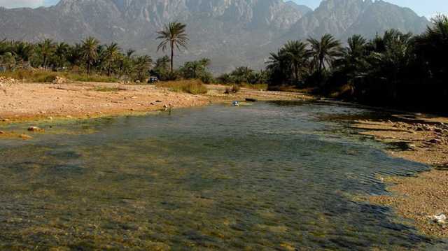 المجلس الوطني لأبناء أرخبيل سقطرى يتبنى الحكم الذاتي.. وترحيب إماراتي