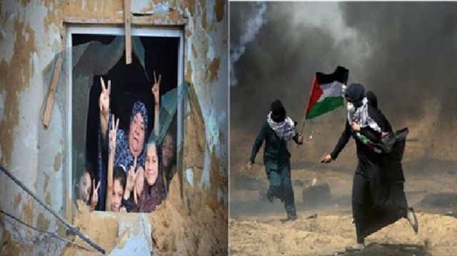 غزة العصية على الانكسار.. قراءة إسرائيلية وغربية لصمودها الأسطوري
