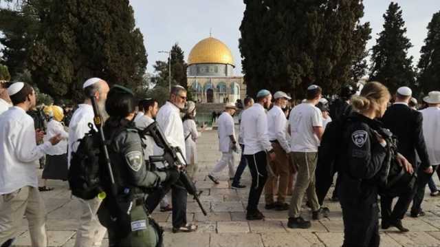 باحث مقدسي لـعربي21: على الأردن وقف وادي عربة عقب اقتحام المستوطنين للأقصى