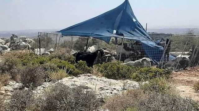 المزارع الاستيطانية تغزو الضفة الغربية للاستيلاء على أراضي الفلسطينيين