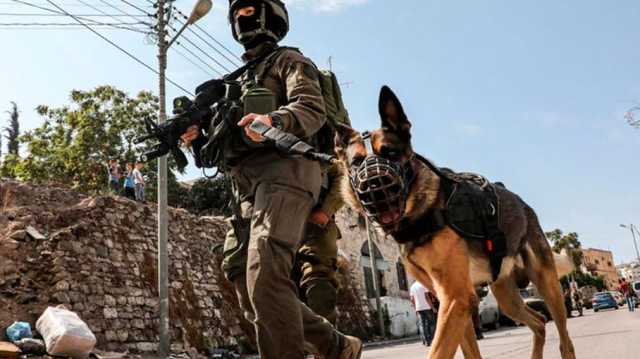 الاحتلال الإسرائيلي يطلق كلبا بوليسيا على مسنة فلسطينية في جباليا (شاهد)
