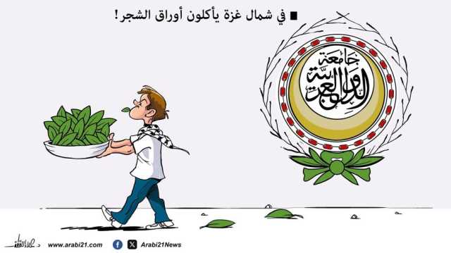 المجاعة في شمال غزة