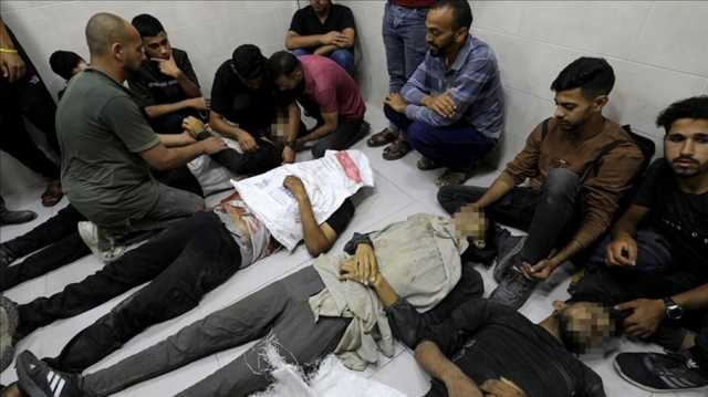 حماس تدين مجازر الاحتلال في غزة وتطالب المجتمع الدولي بالتحرك العاجل