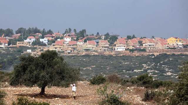 طفلة فلسطينية تروي تفاصيل اختطافها مع أخيها الصغير على يد مستوطنين (شاهد)