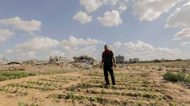 هذا ما تبقى من أراضي غزة الصالحة للزراعة بسبب العدوان الإسرائيلي