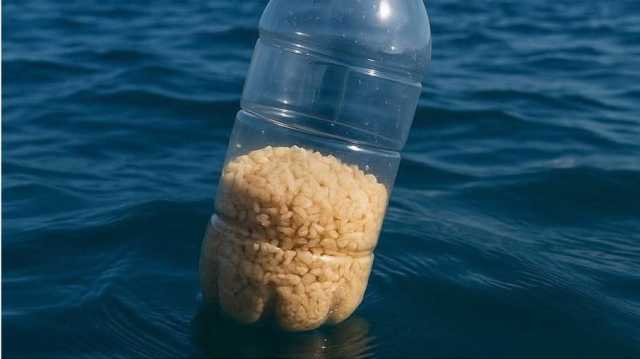 زجاجات الأمل.. مبادرة رمزية تكسر حصار غزة وتفضح جوع الأطفال (شاهد)