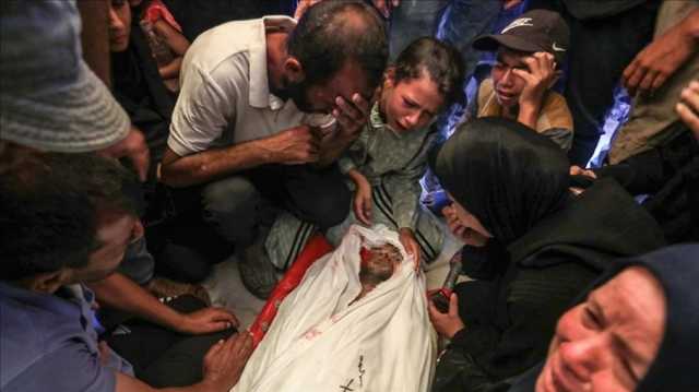منظمة حقوقية: غزة الإنسانية تقود مصائد موت.. طالبت أوروبا بعقوبات عاجلة