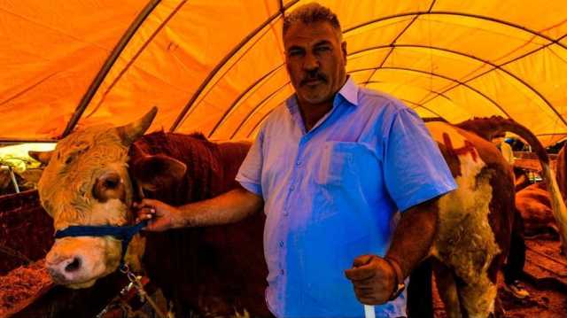 الحمى القلاعية تدفع أنقرة إلى إغلاق أسواق الماشية مؤقتا