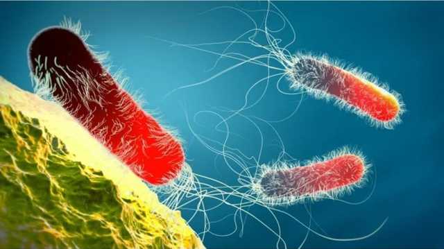 الجراثيم المقاومة للمضادات تهدد الاقتصاد العالم.. خسائر تريليونية وارتفاع الوفيات بحلول 2050