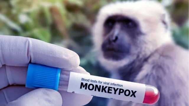جدري القردة يتفشى في أفريقيا.. استنفار للتصدي للمرض بالقارة