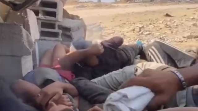 مشاهد مروعة لمحاولة الاحتلال قتل باحثين عن المساعدات في غزة (شاهد)