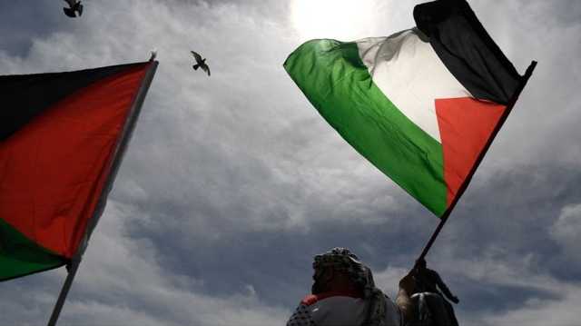 باحث بريطاني: الاعتراف بالدولة الفلسطينية خطوة ناقصة.. يجب وقف حرب غزة