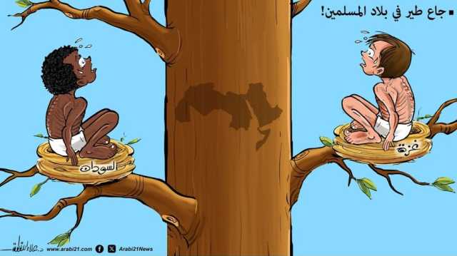 جاع طير في بلاد المسلمين!