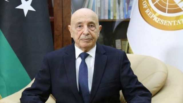 لقاء مرتقب بين رئيسي مجلسي النواب والدولة الليبيين في القاهرة