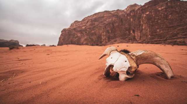 المناخ ينفجر بتسارع.. 2023 قد يكون أكثر السنوات حرا