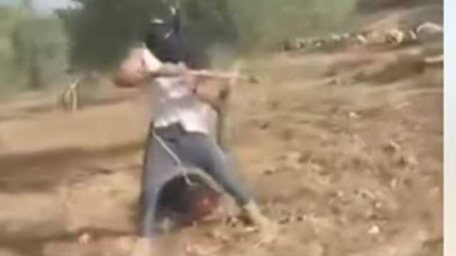 مستوطن متطرف يعتدي بوحشية على فلسطينية في الضفة الغربية (شاهد)