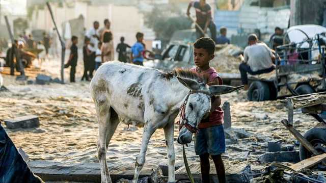 بن غفير يحرض جيش الاحتلال على قتل أطفال غزة رغم اتفاق وقف الحرب
