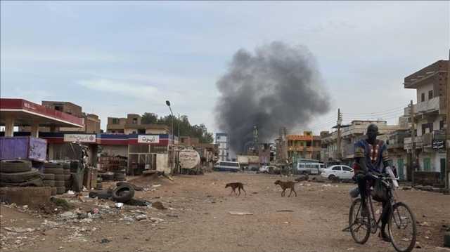 المجلس العربي يتهم الإمارات بتمويل حرب دارفور.. حذر من مخطط تقسيم السودان