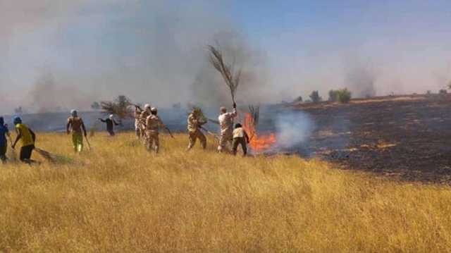 الجيش الموريتاني يخمد حريقا ضخما جنوب شرقي البلاد