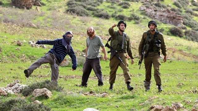 الأمم المتحدة توثق أعلى معدل لهجمات المستوطنين في الضفة منذ عشرين عاما