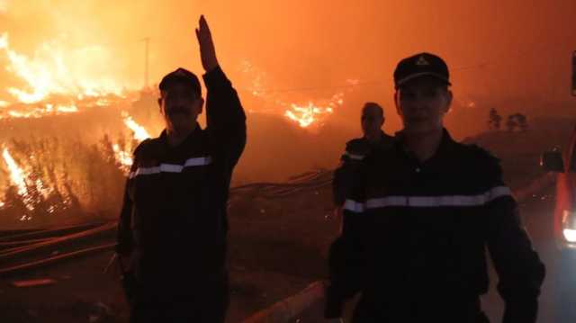 الجزائر.. تسجيل 22 حريق غابات في 8 محافظات وإجلاء سكان في تيبازة