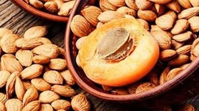 بذور المشمش بين الفائدة والمخاطر.. ما الذي يقوله العلم؟